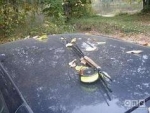 Аватара пользователя