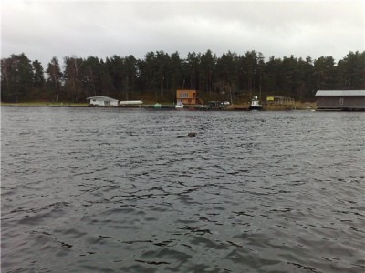 Пёсик Лилупе перемахнул, даже глазом не моргнул