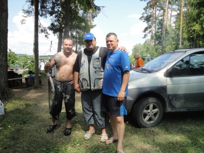 Сом на почти1,8 кг; <br />Aleksandr71, Kollekcioner, Sergey