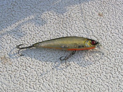 Squad Minnow 80SP