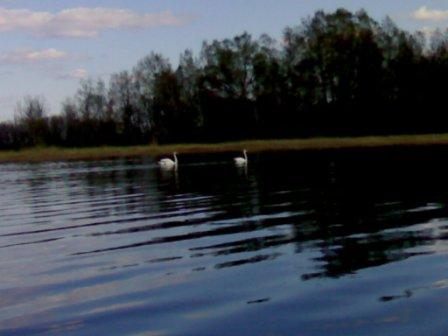 Наши спутники на озере Лобес.