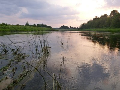 samoe vremja ribalki.JPG