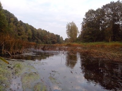 Воды очень мало.