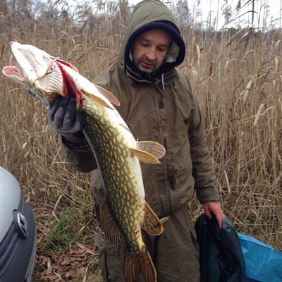 Sweden pike