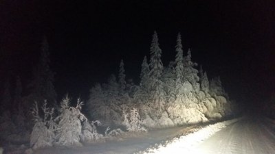 20161123_220933 (640x360).jpg