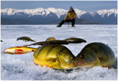 ice fishing.jpg