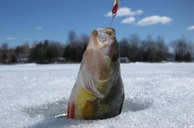 Ice Fishing.jpg