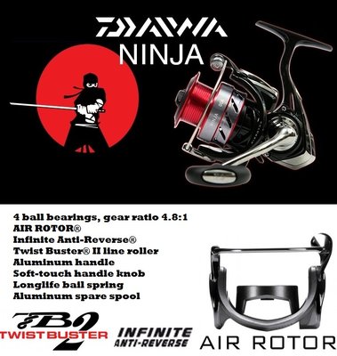 ninja 2.jpg
