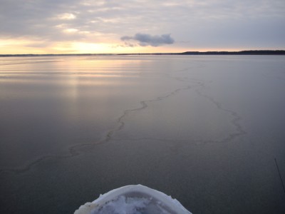 ледовое поле